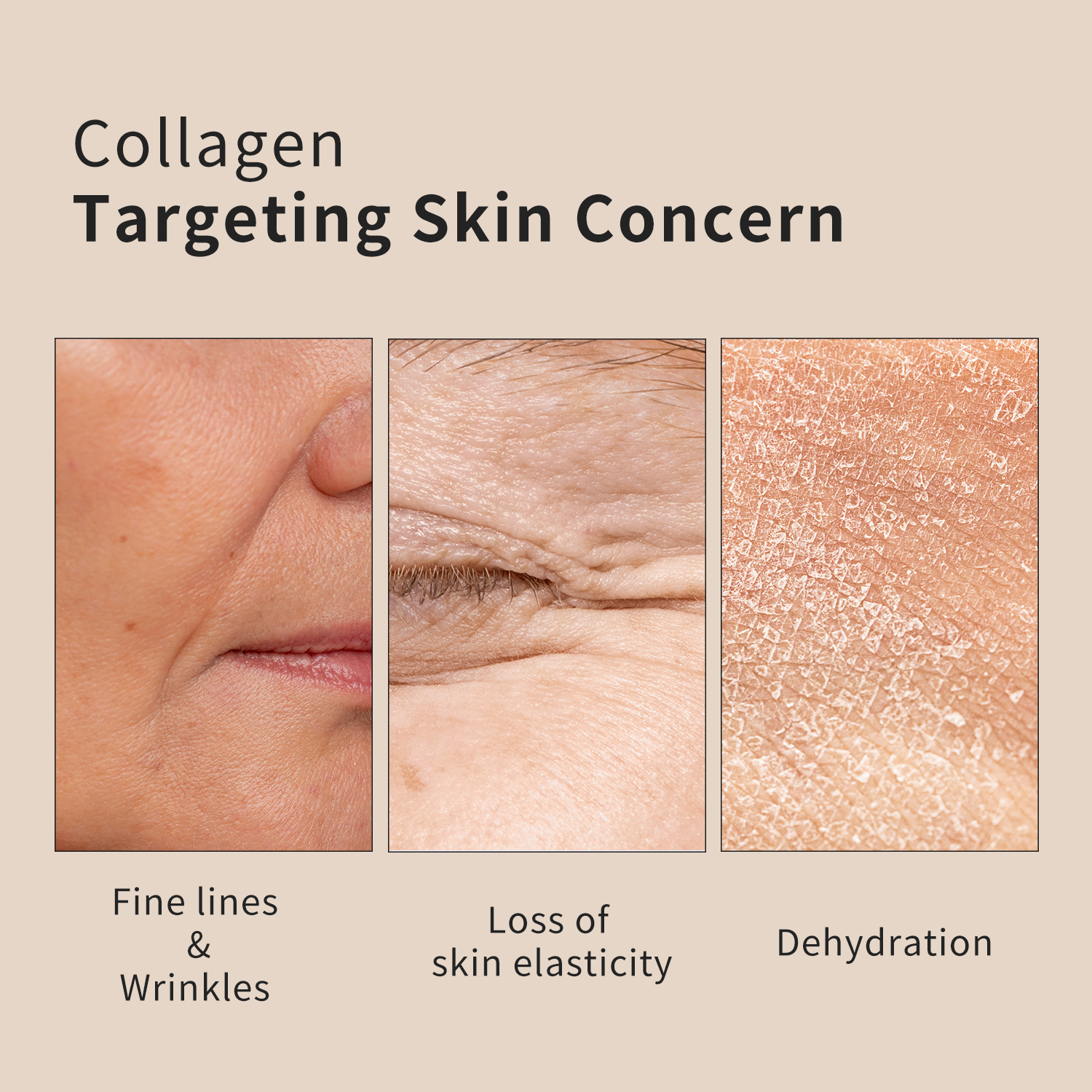 Complex Collagen Serum
